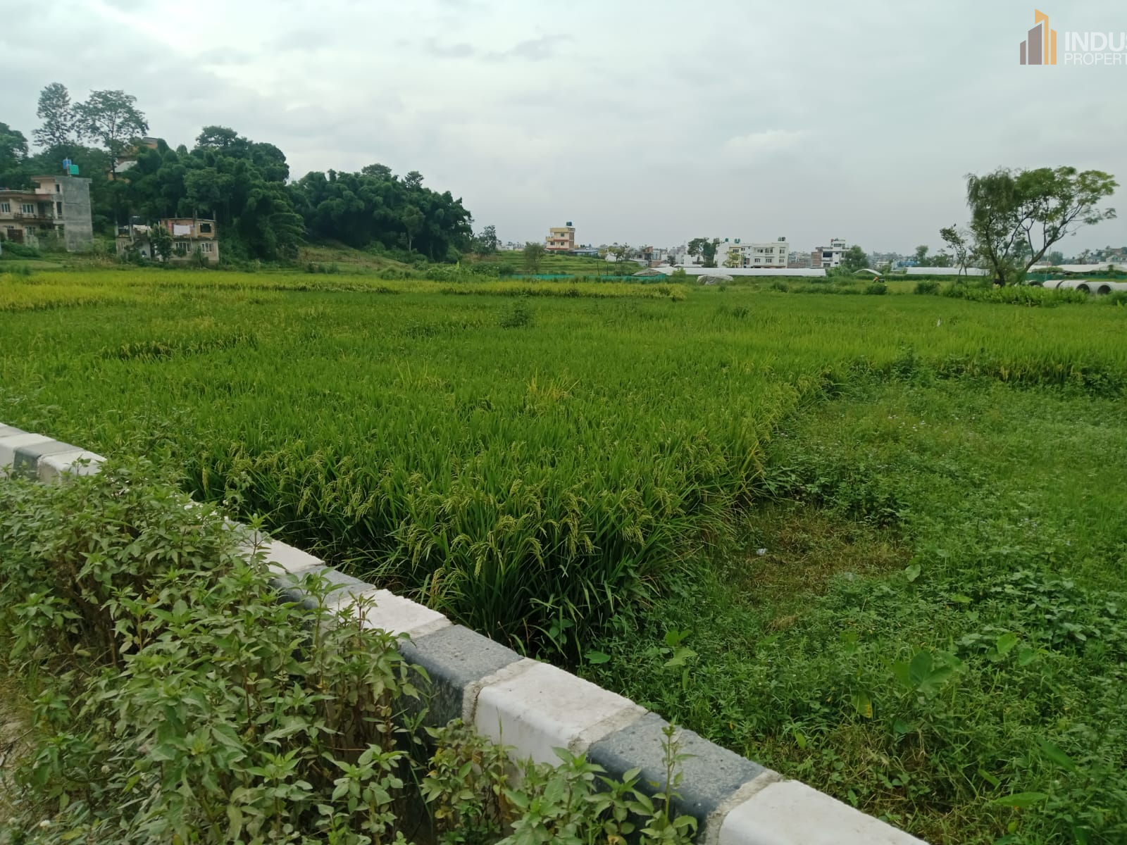 Picture of Mahalaxmi Municipality, Bagmati